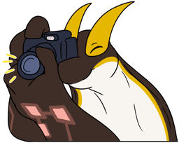 camera