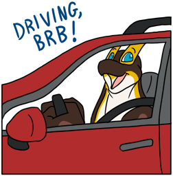 driving-brb