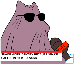 hides-identity