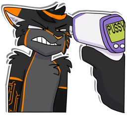 detector