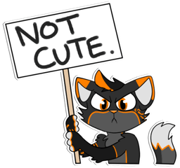 not-cute
